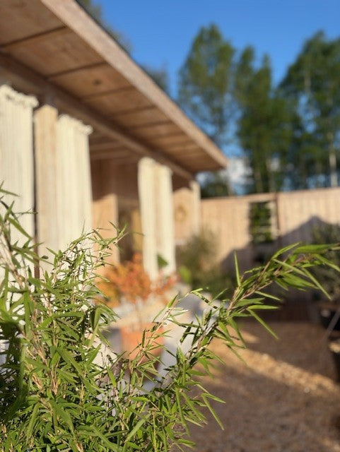 Wellness in Zonhoven – genieten van sauna, jacuzzi en massage